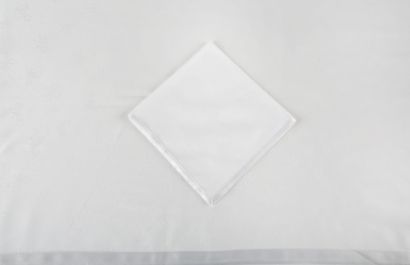 LARGE RECTANGULAR DAMPER AND ITS 6 TOWELS...