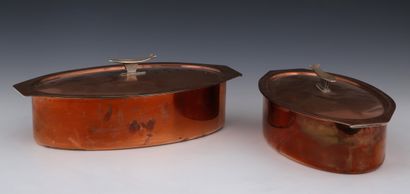 TWO OVAL FISH FANS of two sizes in tinned...