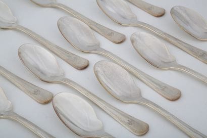 SET OF 12 SAUCE SPoons in silver plated metal...