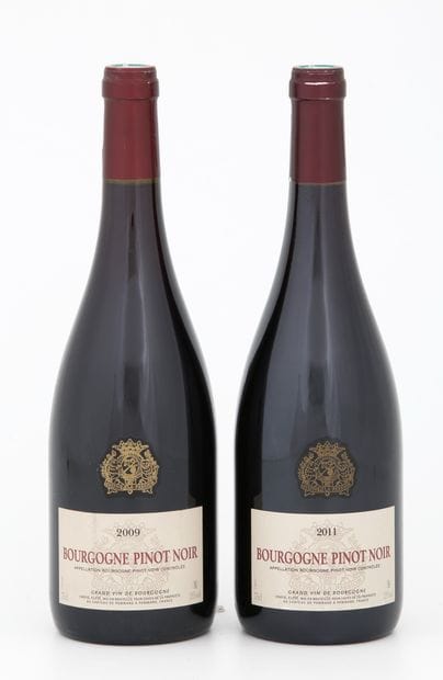 4 Bouteilles CHÂTEAU DE POMMARD - Pinot Noir

Année...