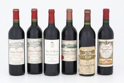 6 Bouteilles : 

- 1 Bouteille CHÂTEAU PAVIE...