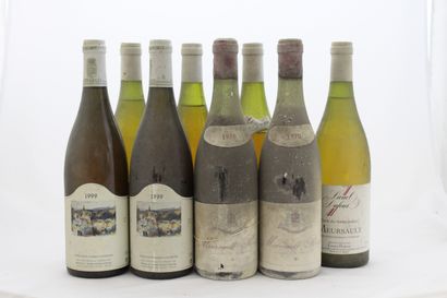 8 Bouteilles VINS DIVERS : 2 MEURSAULT ROUGE...