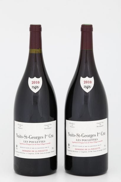 2 Magnums NUITS SAINT- GEORGES 1er CRU -...
