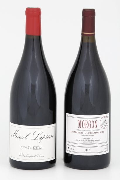 2 Magnums : 

- 1 MORGON CUVEE MMXI Domaine...