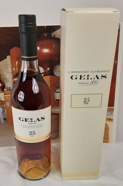 
1 Bottle ARMAGNAC GELAS 25 years 




In...
