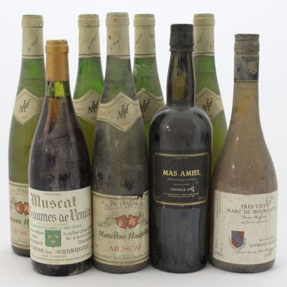 8 Bouteilles : 5 MUSCAT MATERNE HAEGELIN...