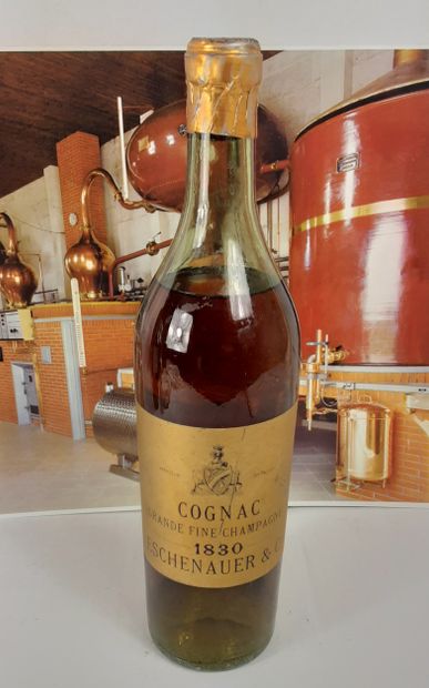 
1 Bouteille COGNAC ESCHENAUER & Cie




Année...