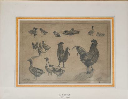 Adrien SCHULZ (1851-1931)

Etude de basse-cour

DESSIN...