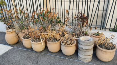 SUITE DE 12 VASES D'ORNEMENT Modernes en...
