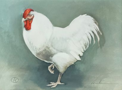 Blaise PRUDHON (XX-XXIème Siècle)

Poule...