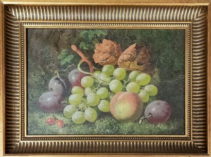 Charles Thomas BALE (actif en 1866 et 1895)

Natures...
