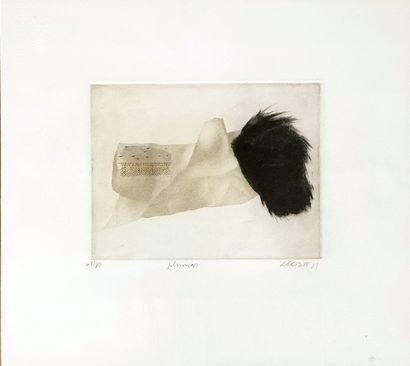 Alexis GORODINE (Né en 1954)

Plumes, 1981

LITHOGRAPHIE

Signée...