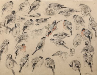 Study of bullfinches

Charcoal and pastel

Signed...