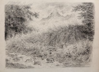 
Red partridge powdering in the Swiss Alps




Charcoal




A...