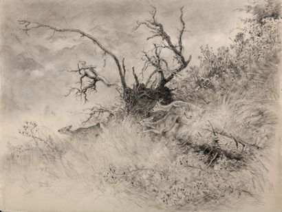 Deer running away from the storm

Charcoal...