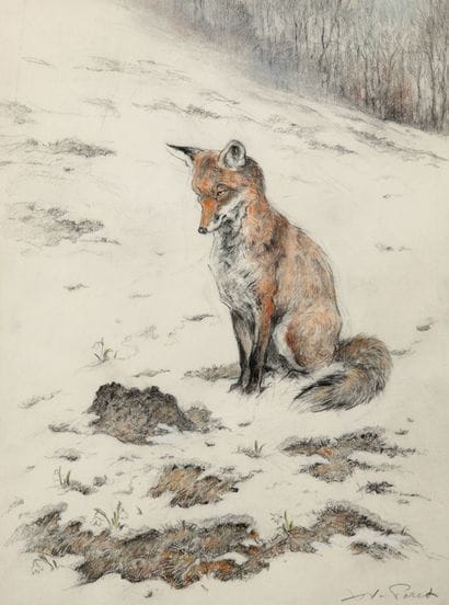 Fox on the lookout

Charcoal and pastel

Signed...