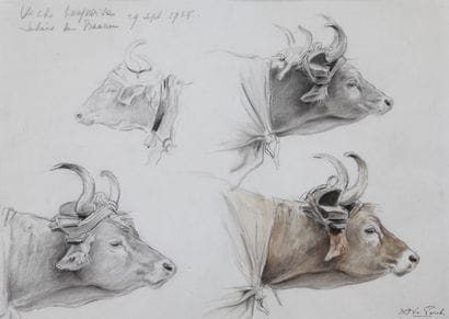 Study of Basque cows - 1928

Charcoal and...