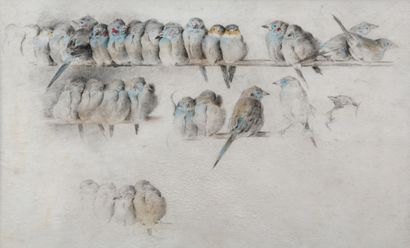 Small exotic birds perched on a feeder

Charcoal...