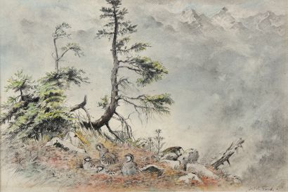 Company of Bartavelles in the Swiss Alps

Charcoal...