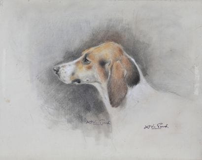 Head of a hound dog 

Charcoal and pastel

Two...