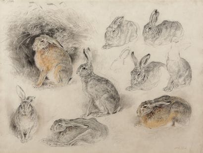Study of hares

Charcoal and pastel

Stamp...