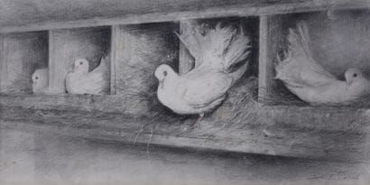 Doves with nest

Charcoal and pastel

Signed...
