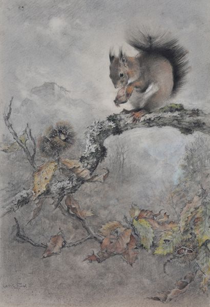 Squirrel on a chestnut branch

Charcoal and...