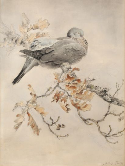 Dove on an oak branch

Charcoal and pastel

Signed...