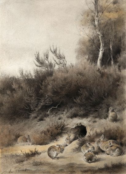 Rabbits around the burrow

Charcoal and pastel

Signed...