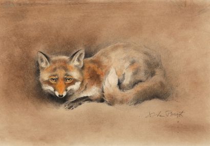 Red fox lying down

Charcoal and pastel

Signed...