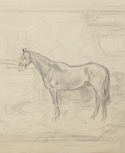 Study of a horse's head with a round view

On...