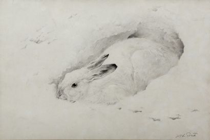 Hare lying in the snow

Charcoal and pastel

Signed...