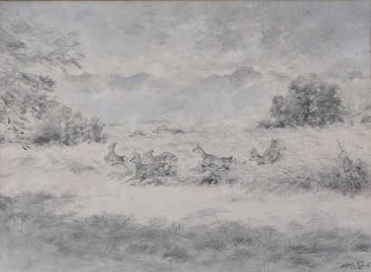 The herd of frightened deer

Charcoal and...
