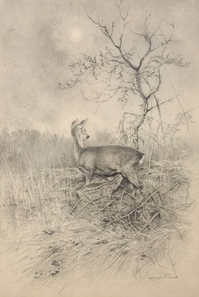 Suckling goat 

Charcoal

Signed lower right

Sight...