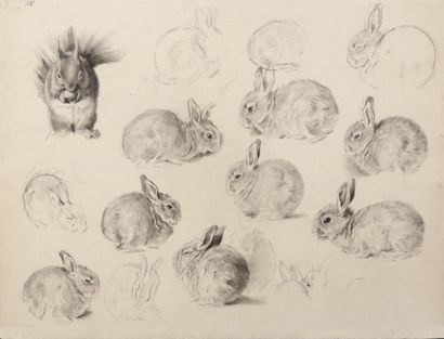 Study of squirrel and rabbits

Charcoal

A...
