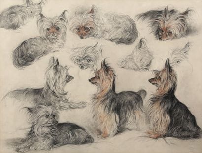 Study of yorkshires

Charcoal and pastel

Dry...