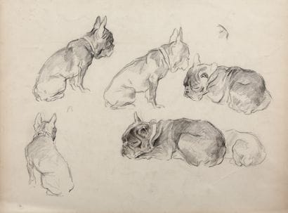 Study of French Bulldogs Recto-verso

Charcoal...