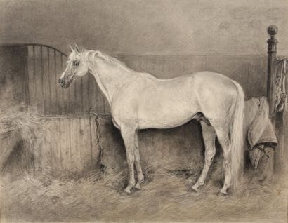 Grey horse in a box

Charcoal

A stamp of...