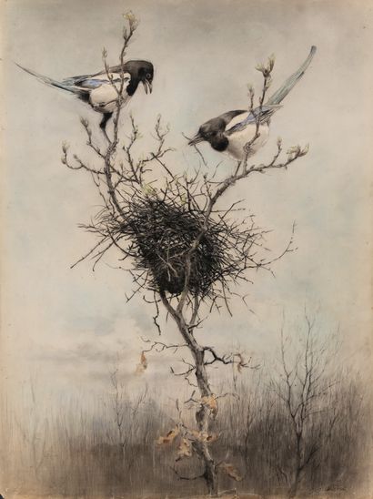 Nest of magpies

Charcoal and pastel

Signed...