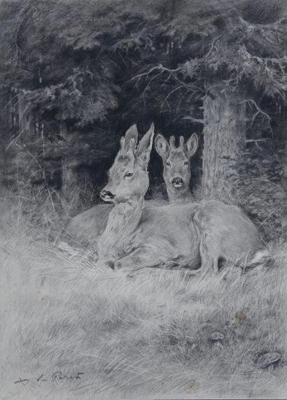 Two young brocades lying in an undergrowth

Charcoal

Signed...