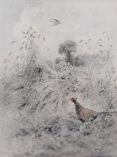 Raptor flying over a pair of pheasants

Charcoal...