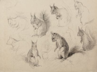 Study of squirrels

Charcoal

A stamp of...