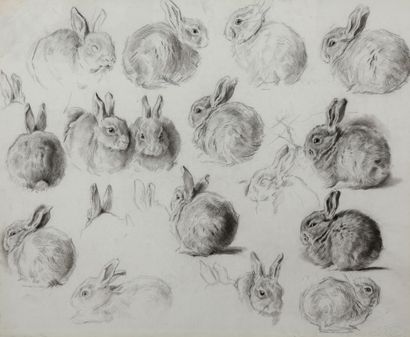 Study of yeasts

Charcoal

Signature stamp...