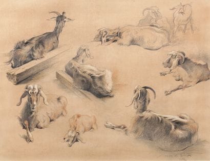 Study of North African Goats - 1922

Charcoal...