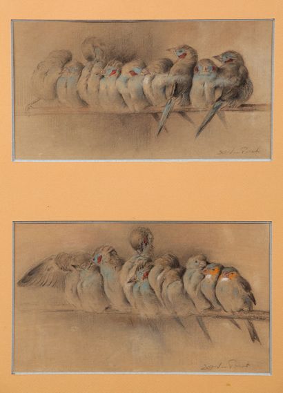 Small exotic birds perched on a feeder

Two...