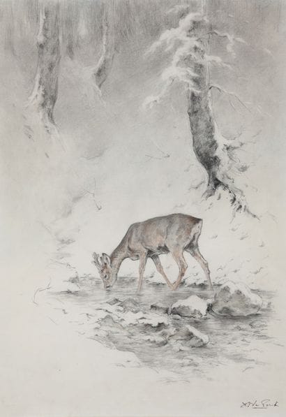 Brocard drinking in a snowy landscape

Charcoal...