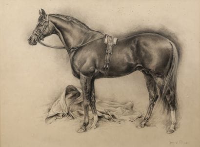 Purebred hustler (Jad)

Charcoal and pastel

Signed...