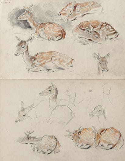 Two Studies of Deer on a Folded Sheet - 1923

Charcoal...