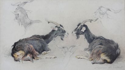 Study of goats

Charcoal and pastel

Signed...