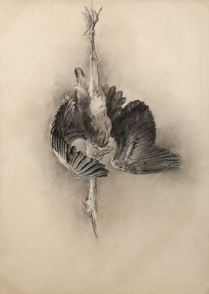 Still life with a grey heron

Charcoal and...